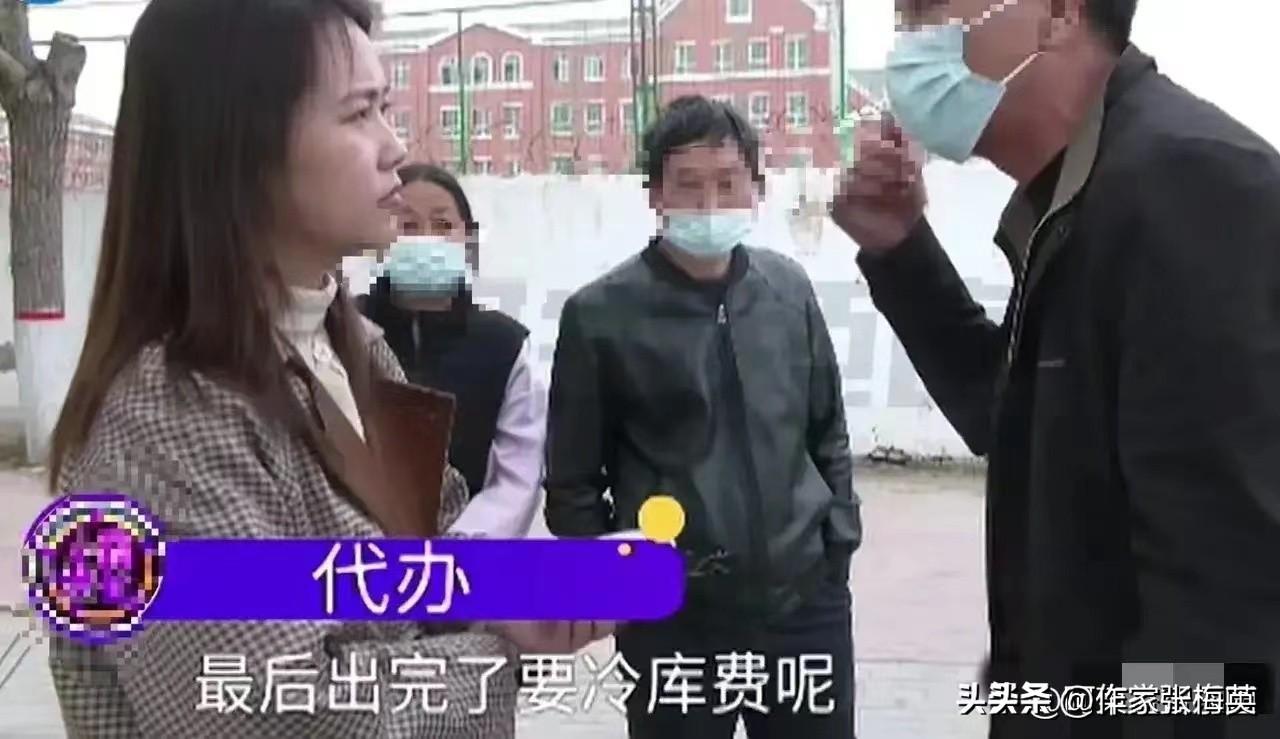 奇闻！493吨价值170万冷库大蒜被别人拉走卖光，冷库说自己没责任