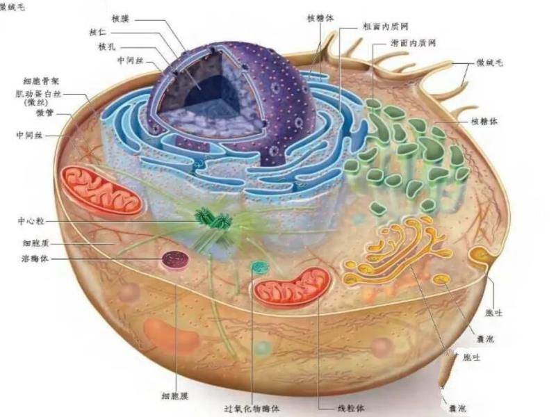 科学家宁可探索太空也不研究深海，为什么？